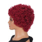 Short Pixie Cut Curly Brazilian Human Hair Wig