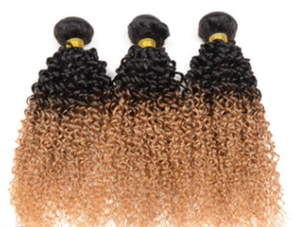 Real Human Hair Gradient Extensions Wig