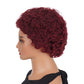 Short Pixie Cut Curly Brazilian Human Hair Wig