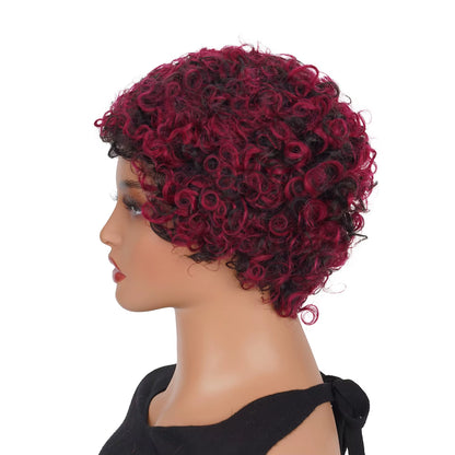 Short Pixie Cut Curly Brazilian Human Hair Wig