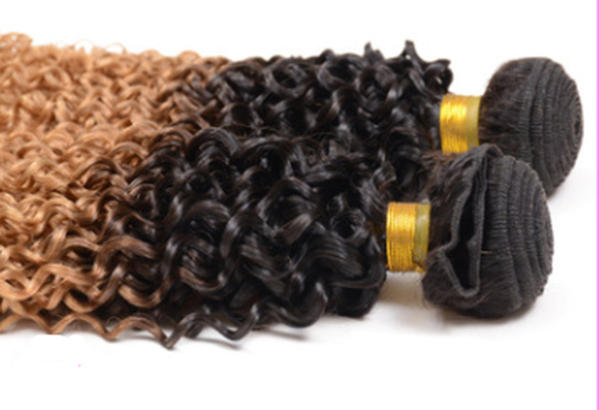Real Human Hair Gradient Extensions Wig
