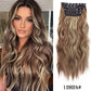 Long Wavy Synthetic Clip-In Hair Extensions 4Pcs Set