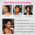 Short Curly Pixie Cut 13x4 Lace Front 100% Human Hair Wigs for Black Woman
