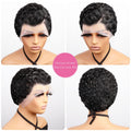 Short Curly Pixie Cut 13x4 Lace Front 100% Human Hair Wigs for Black Woman