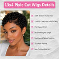 Short Curly Pixie Cut 13x4 Lace Front 100% Human Hair Wigs for Black Woman