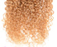 Real Human Hair Gradient Extensions Wig